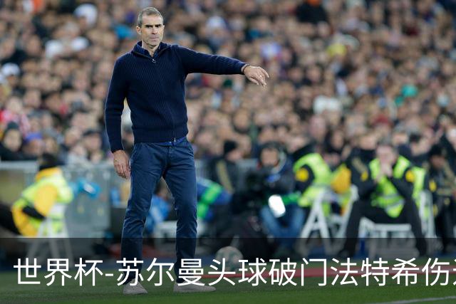 世界杯-苏尔曼头球破门法特希伤退 半场新西兰1-0埃及